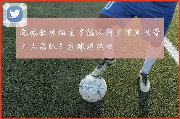 蓉城教练组金亨镒汉斯罗德里戈等六人离队引发球迷热议